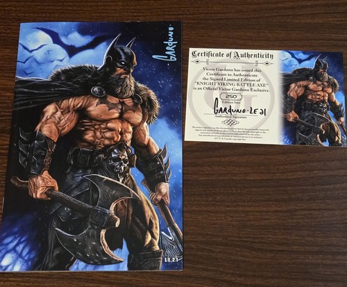 Copertina viking batman - copertina,