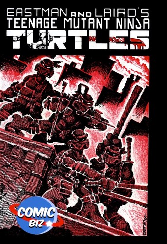 Teenage mutant ninja turtles - ninja,